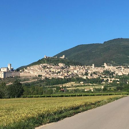 B&B Raffiori Assisi Dış mekan fotoğraf